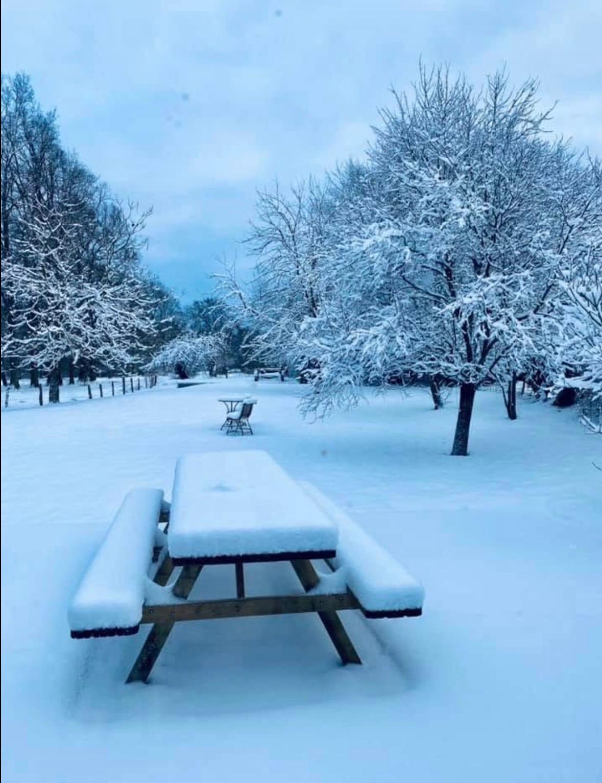 Jardin sous la neige